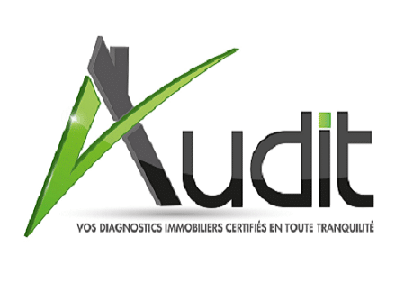 Audit Diags